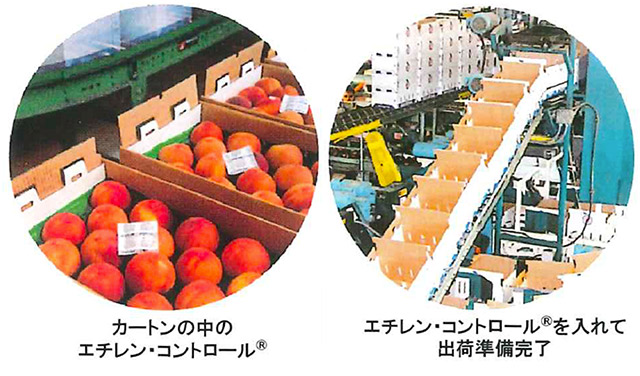 三愛エチレン・コントロール | 三愛ブレイン株式会社